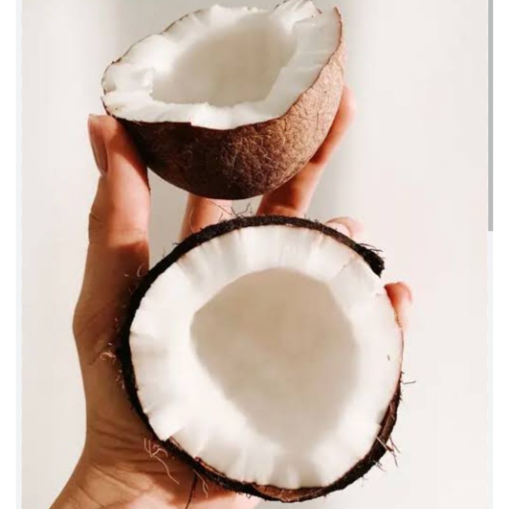 

DAGING KELAPA TUA 10 KG [TERMURAH]