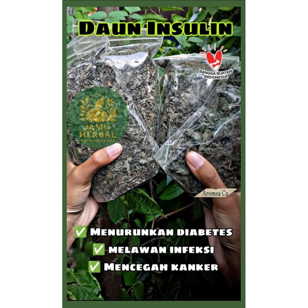 

TERMURAH | Teh Daun Insulin Kering - Herbal Untuk Diabetes Bersih & Organik Herbal By Aromea