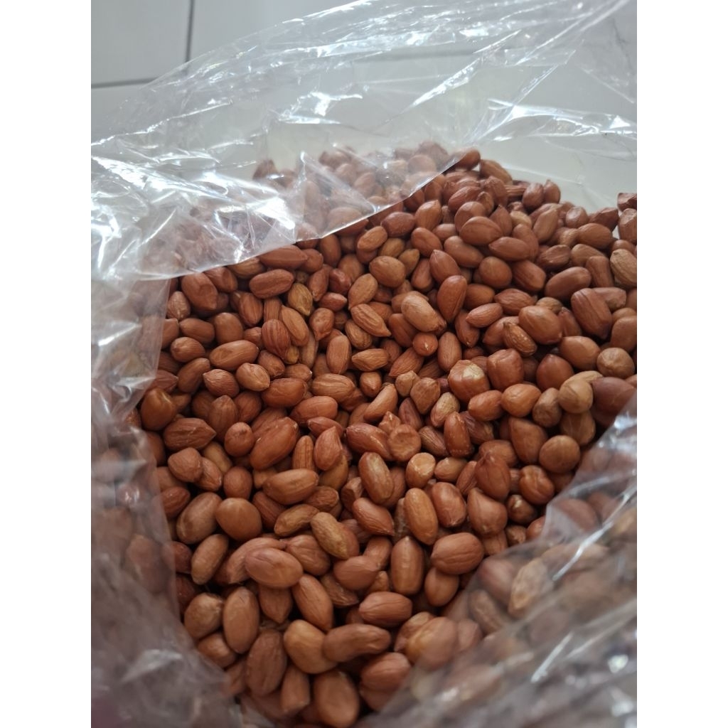 

kacang Tanah