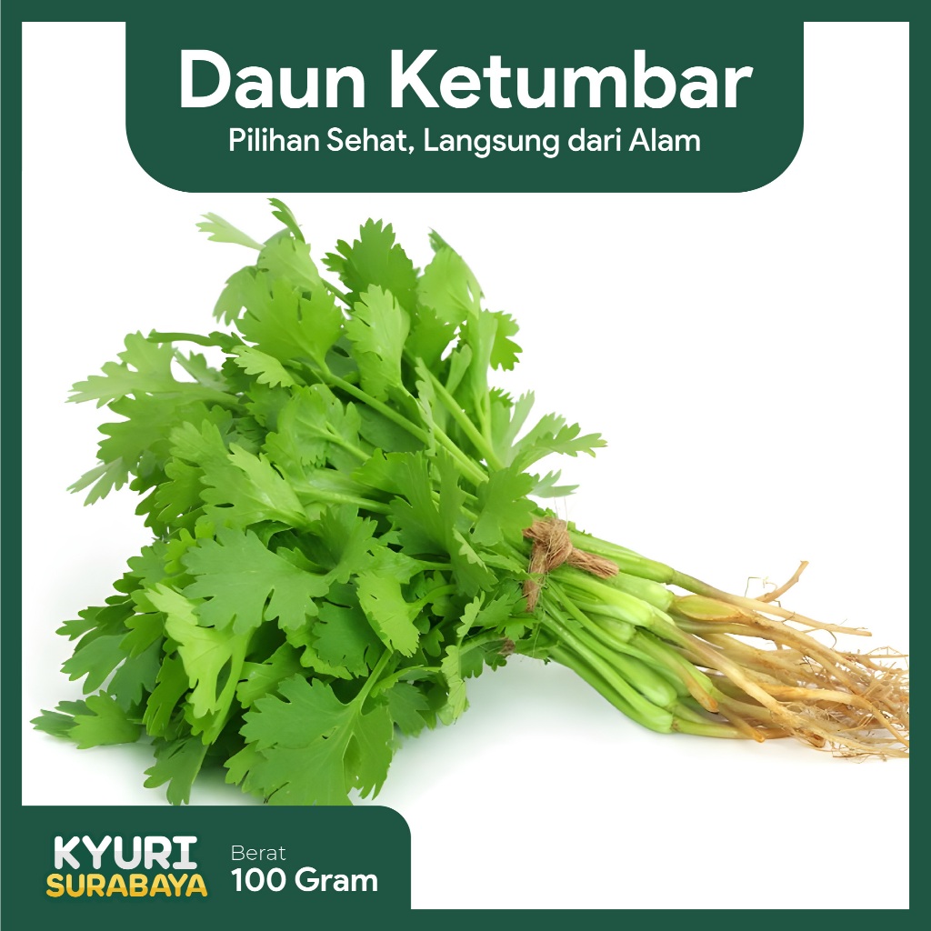 

Daun Ketumbar 100gr