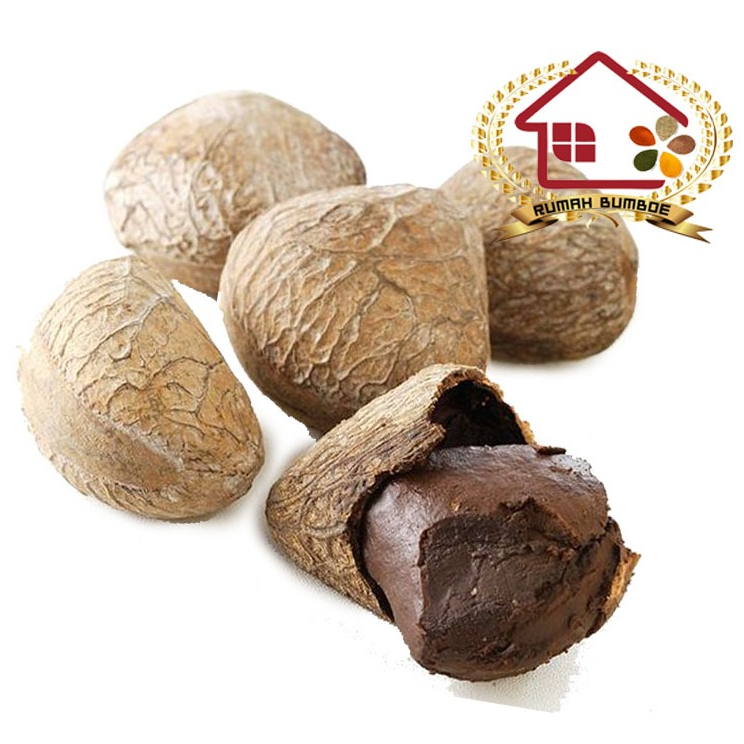 

(1 kg) KLUWEK UTUH Bumbu Masakan Bahan Rawon Pengawet Ikan Spices