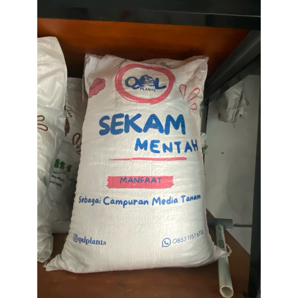 sekam padi (sekam mentah)