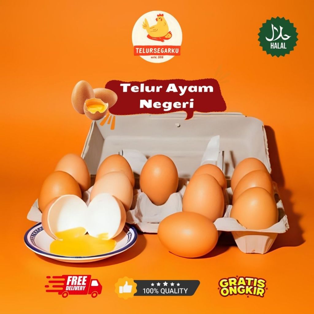 

Telur Ayam Negeri 1 Pack isi 10 Butir PREMIUM - Fresh Bersih Kualitas Terbaik