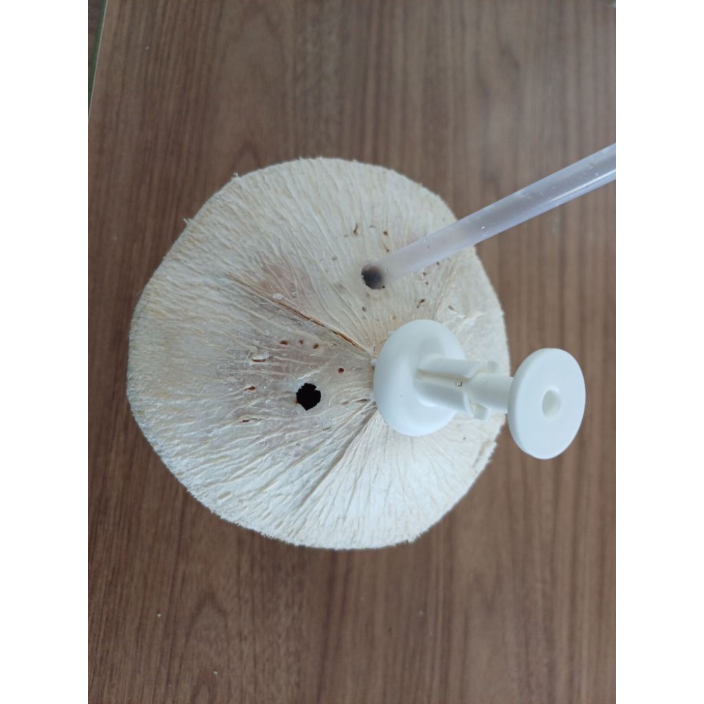 

Kelapa Pandan Wangi Diamond + pembolong kelapa