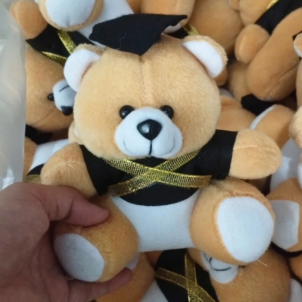 Boneka Wisuda Mini / Boneka Wisuda Murah / Boneka Mini Murah / Boneka Karakter / Boneka Capit / Bone