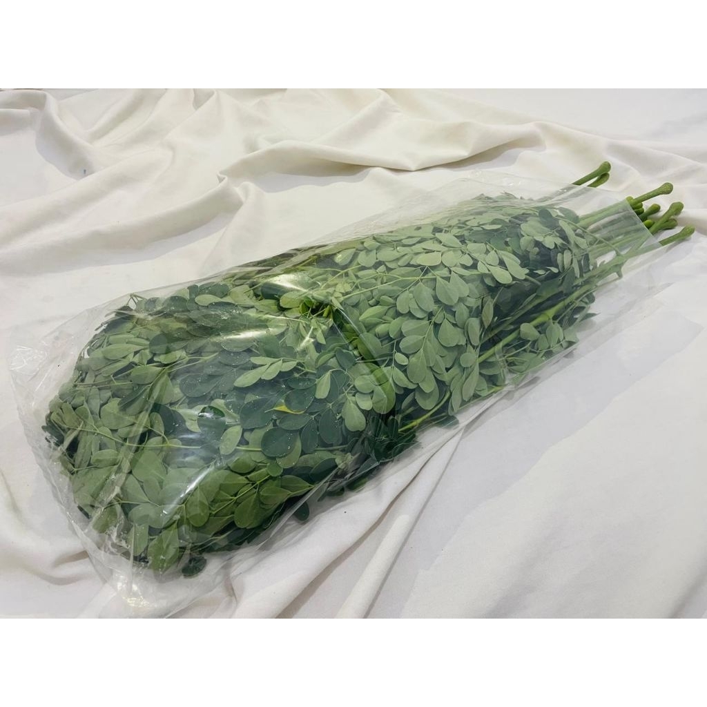 

Kelor Organik per pack