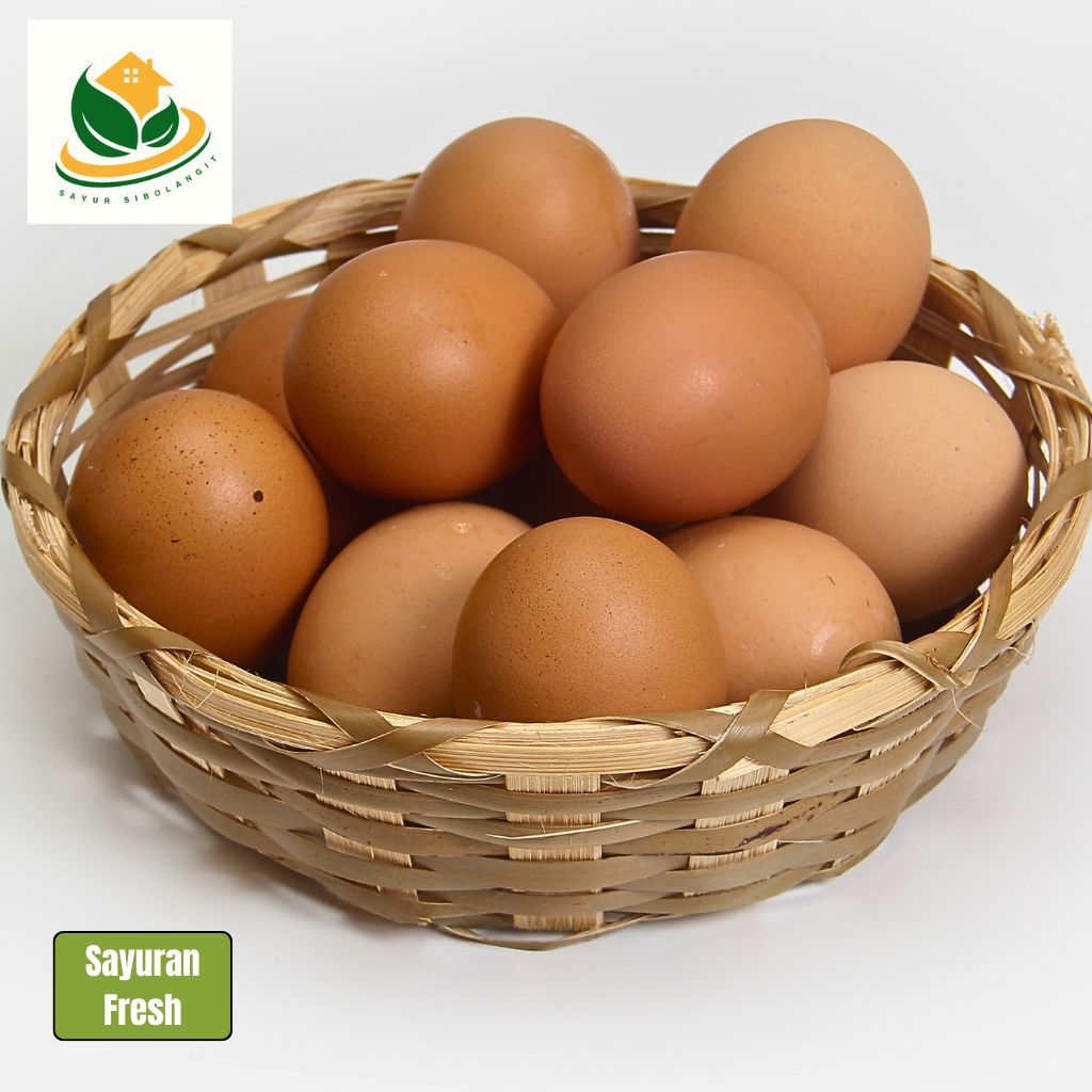 

Telur Ayam Eropa 10 Butir, Telur Ayam