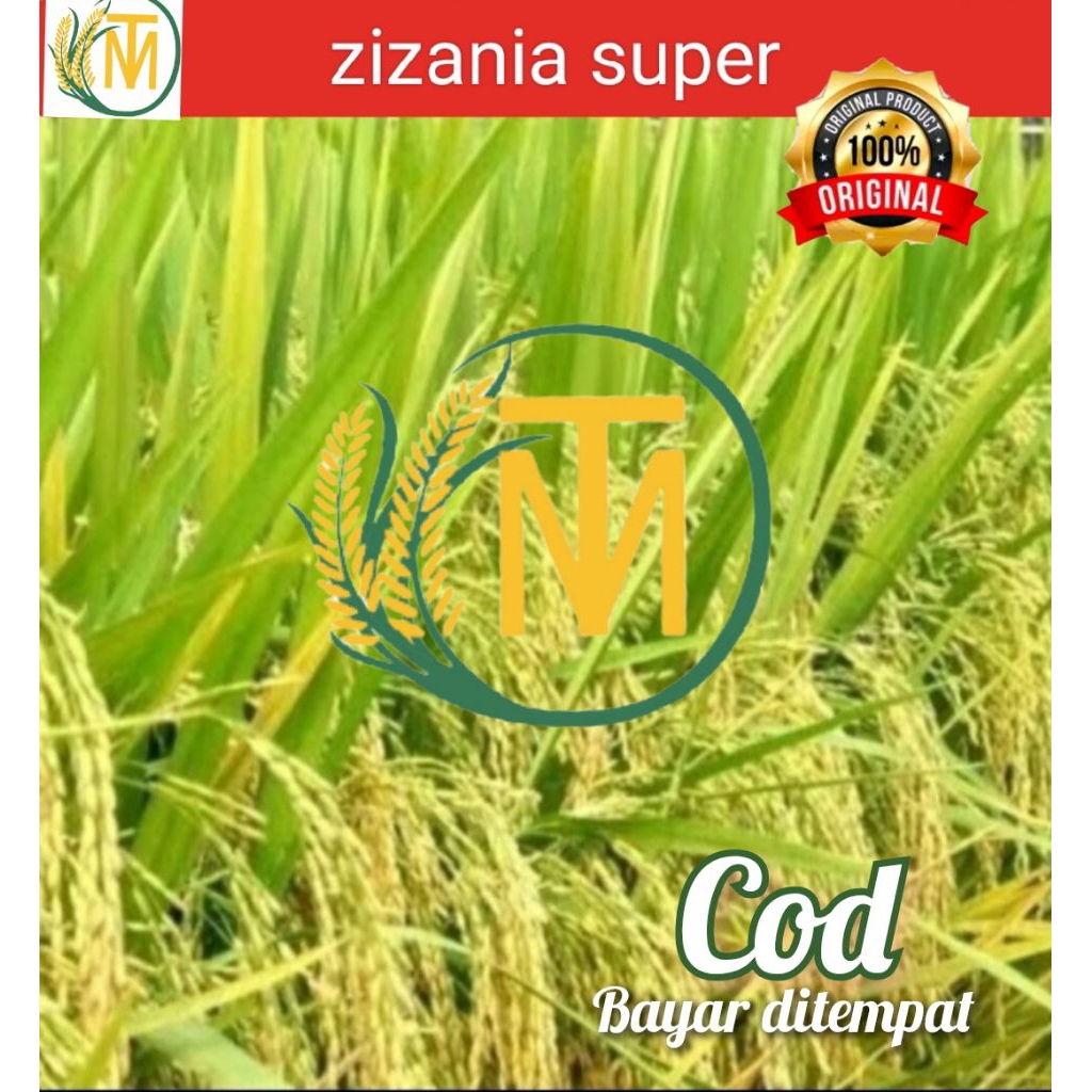 benih padi ZIZANIA TOP 5 kg