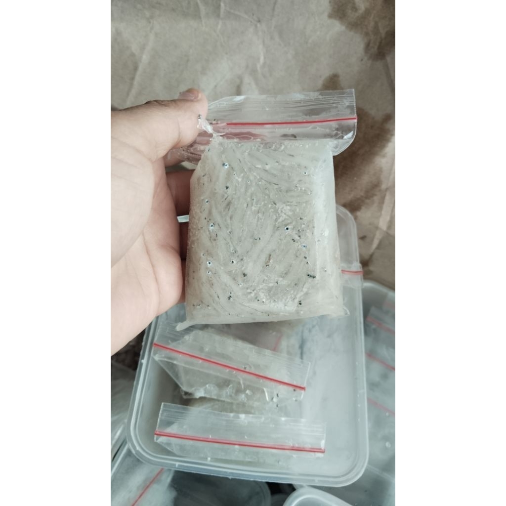 

teri basah premium kemasan 100gr/pack