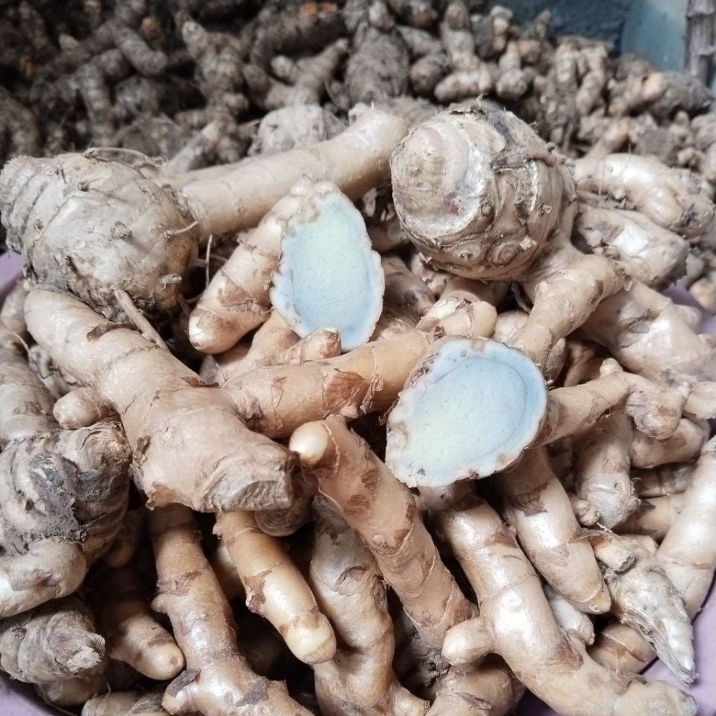 

Temu hitam /temu ireng 500gr