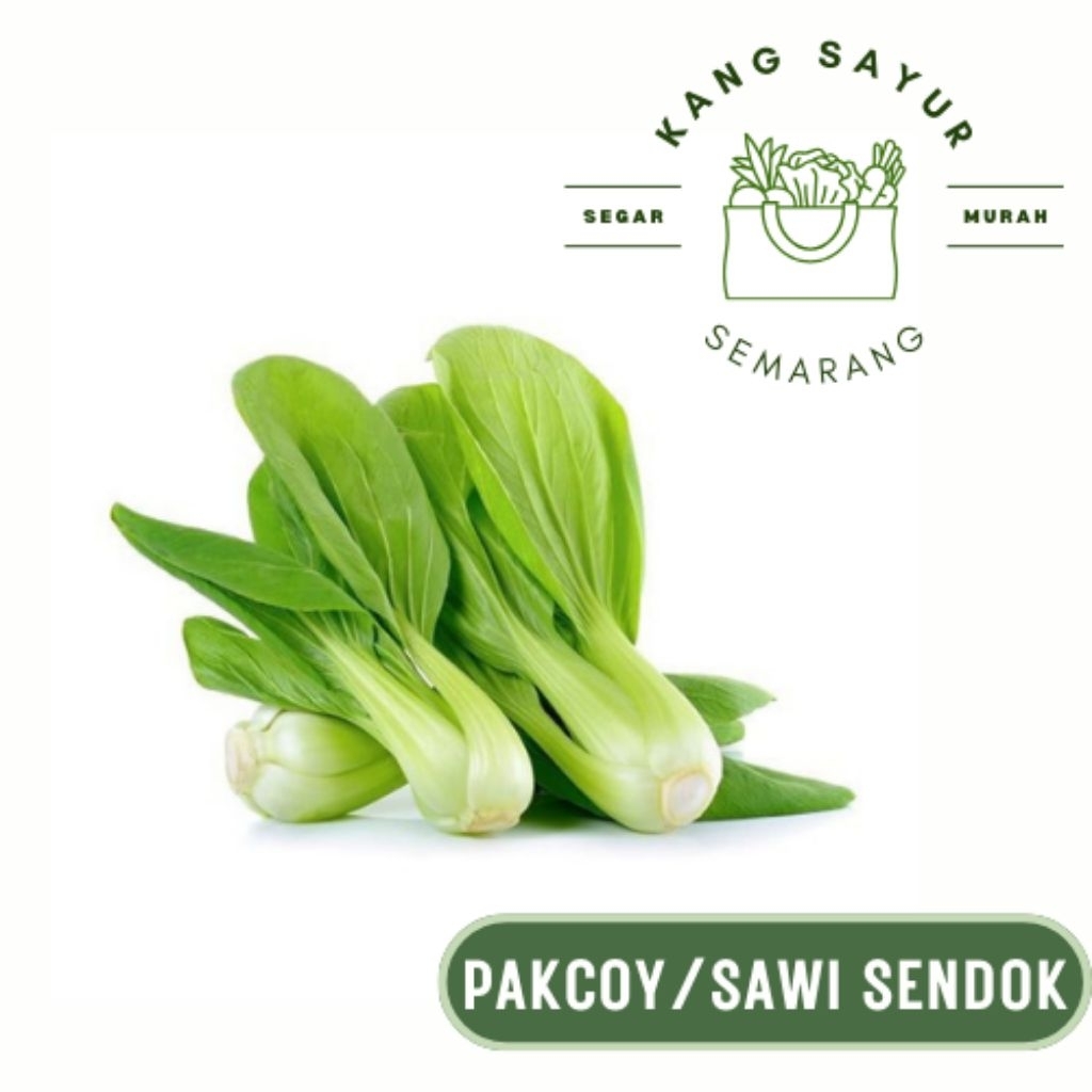 

Sayur Pakcoy 250 gr - Sayur Segar Online Semarang