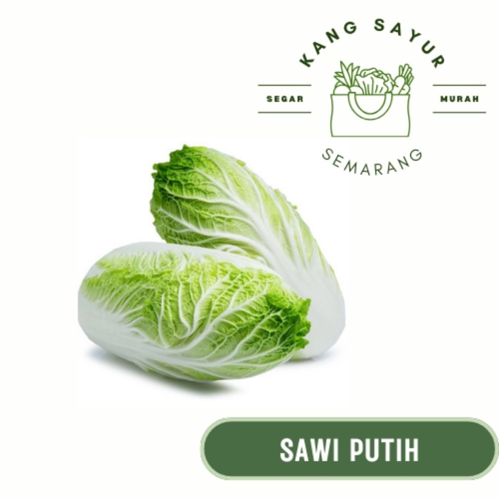 

Sayur Sawi Putih/Slobor 250 gr - Sayur Segar Online Semarang