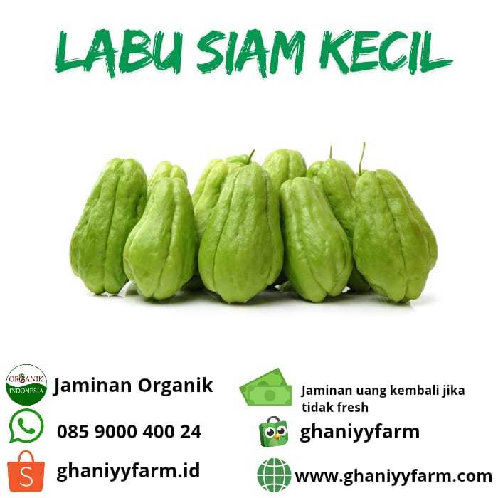 

Sayur Organik Labu Siam Kecil Organik 500 Gram