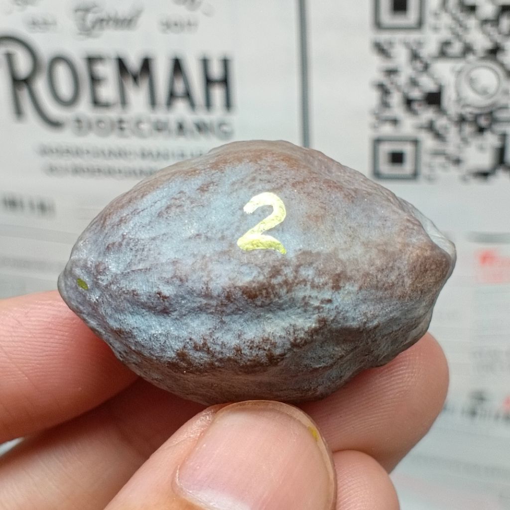 Muncang Adu Jayanti x Jawa Puso kode 2