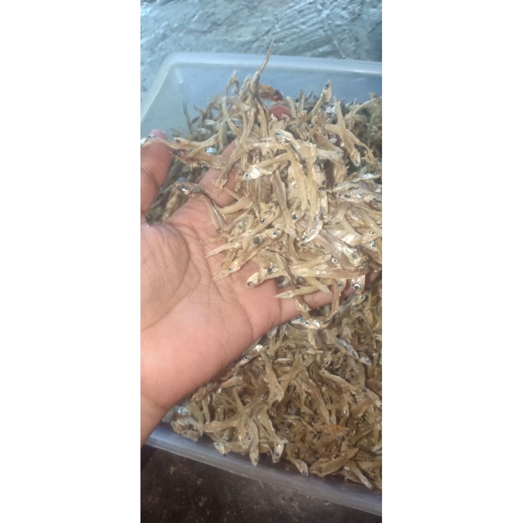 

ikan teri kering
