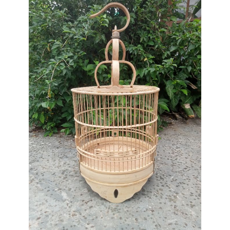 sangkar cungkok D23 D27 lokal mentahan dan pernisan