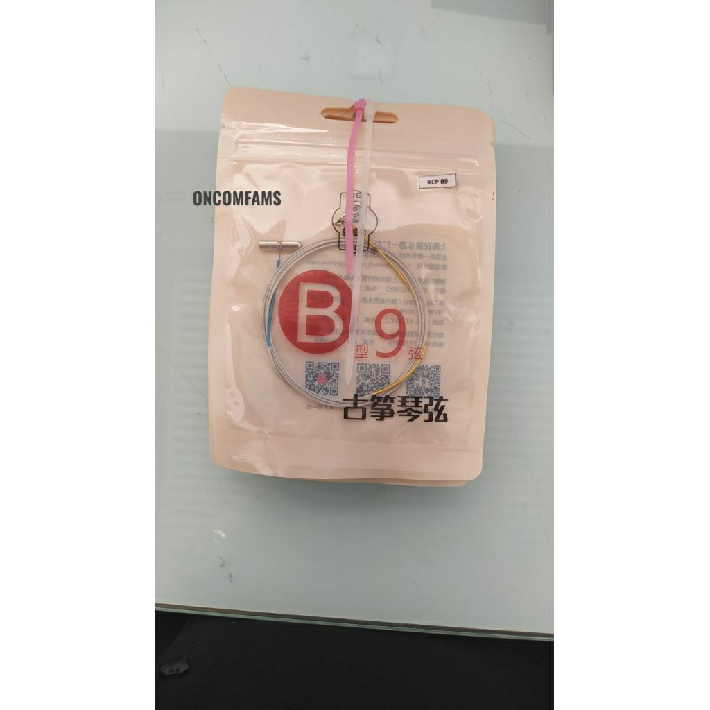 Senar Guzheng Kecapi Dunhuang B9