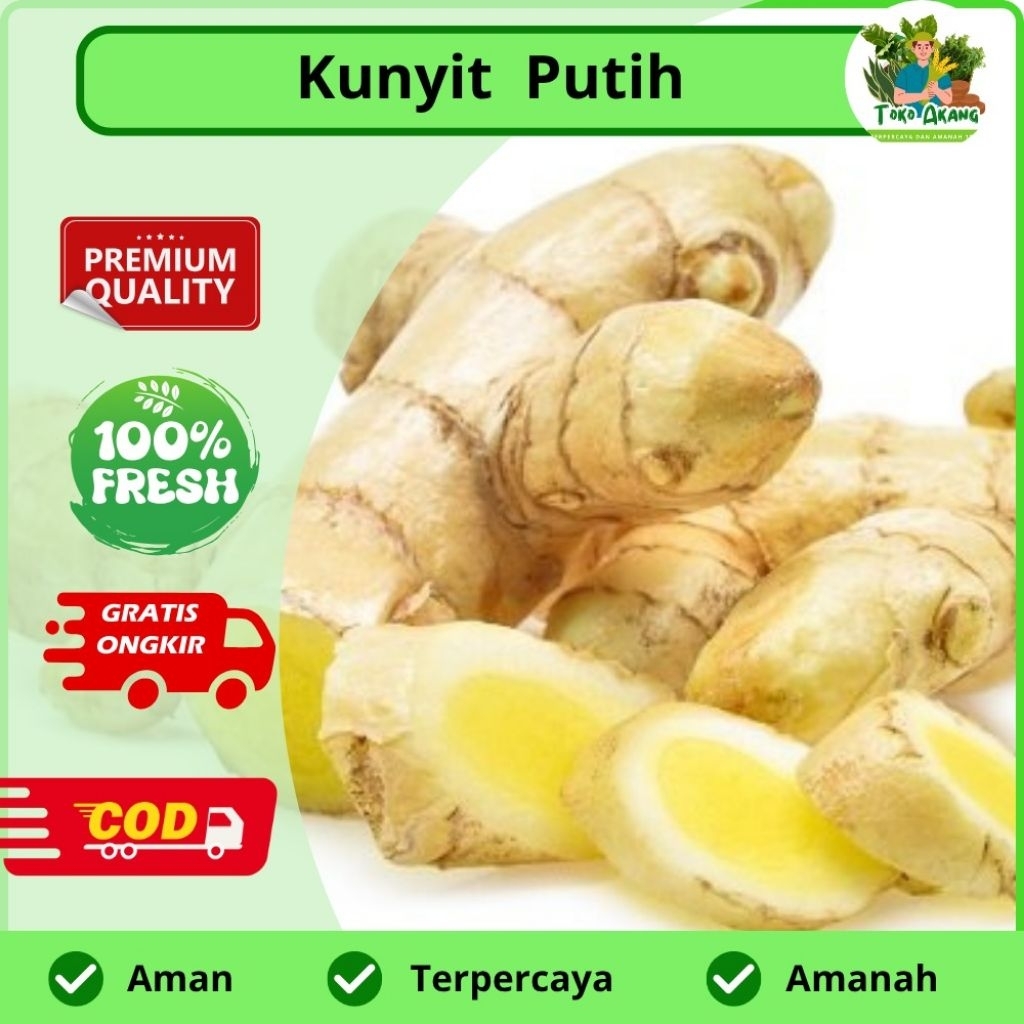 

Kunyit putih murah per 1 kg -COD