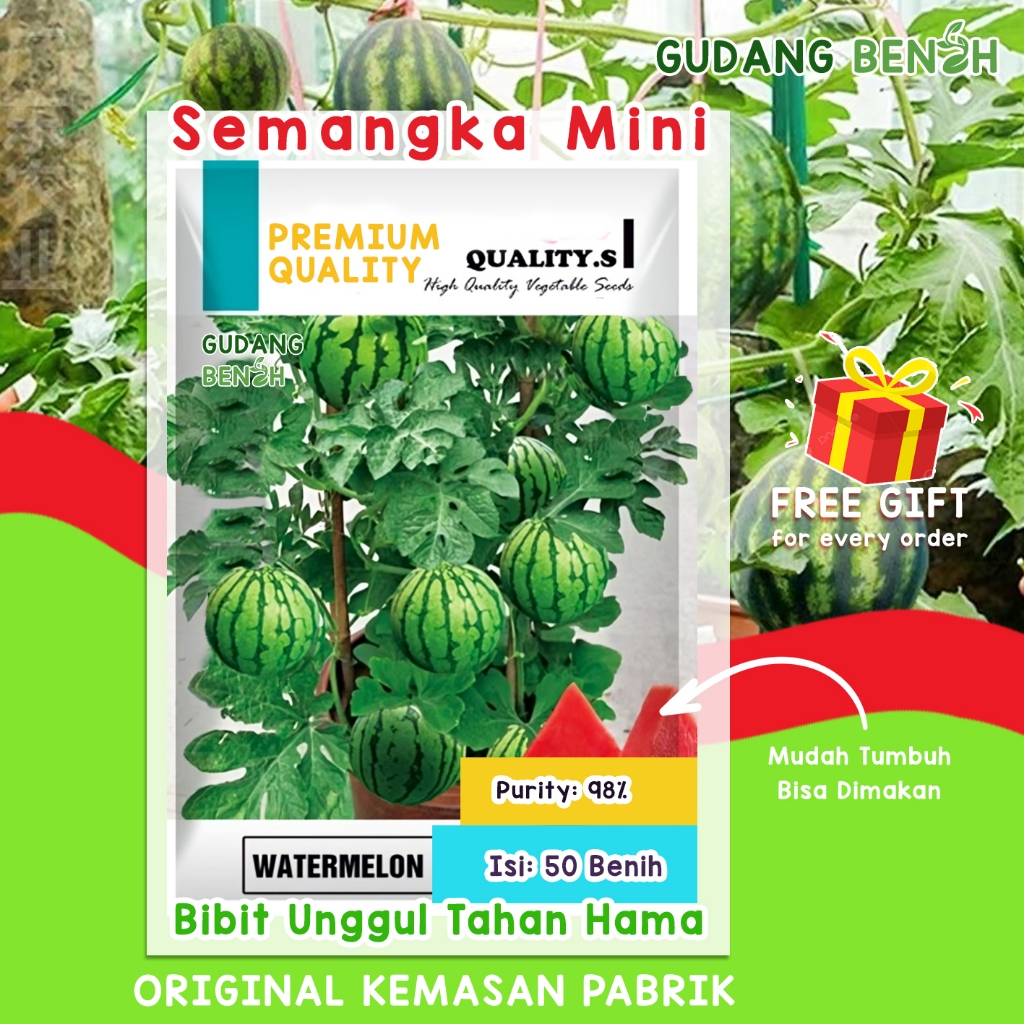 Semangka Mini Watermelon Biji Unggul Tahan Hama Isi 50 Benih, Bibit Buah Semangka