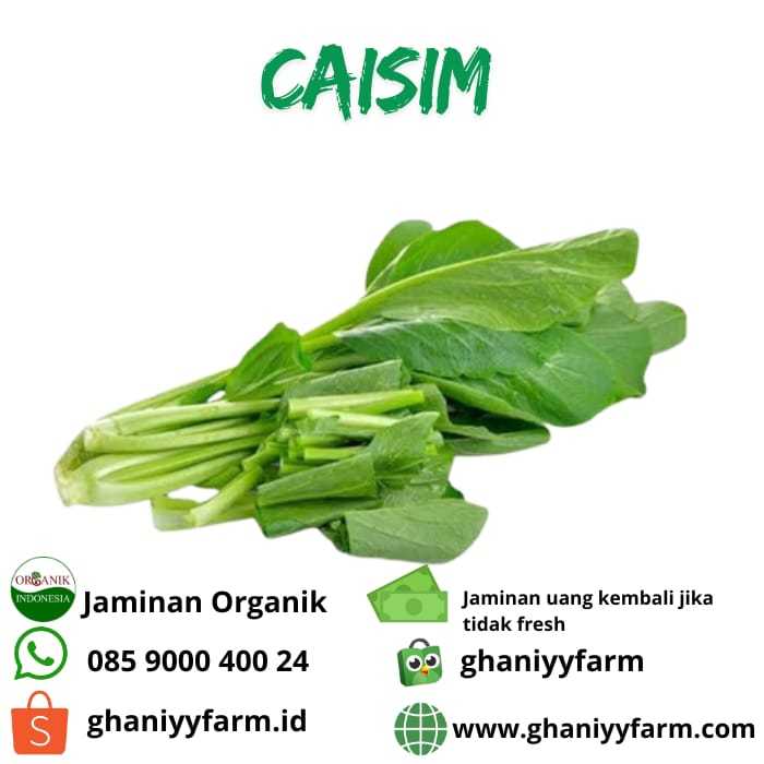 

Sayur Organik caisim organik 200Gram