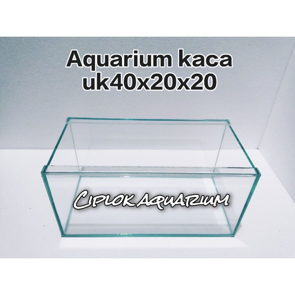Aquarium ikan predator ukuran 40*20*20