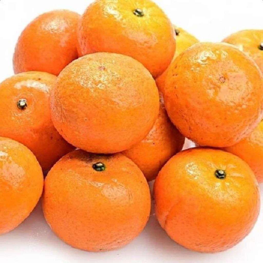 

JERUK WOGAN IMFORT FRESS 1kg