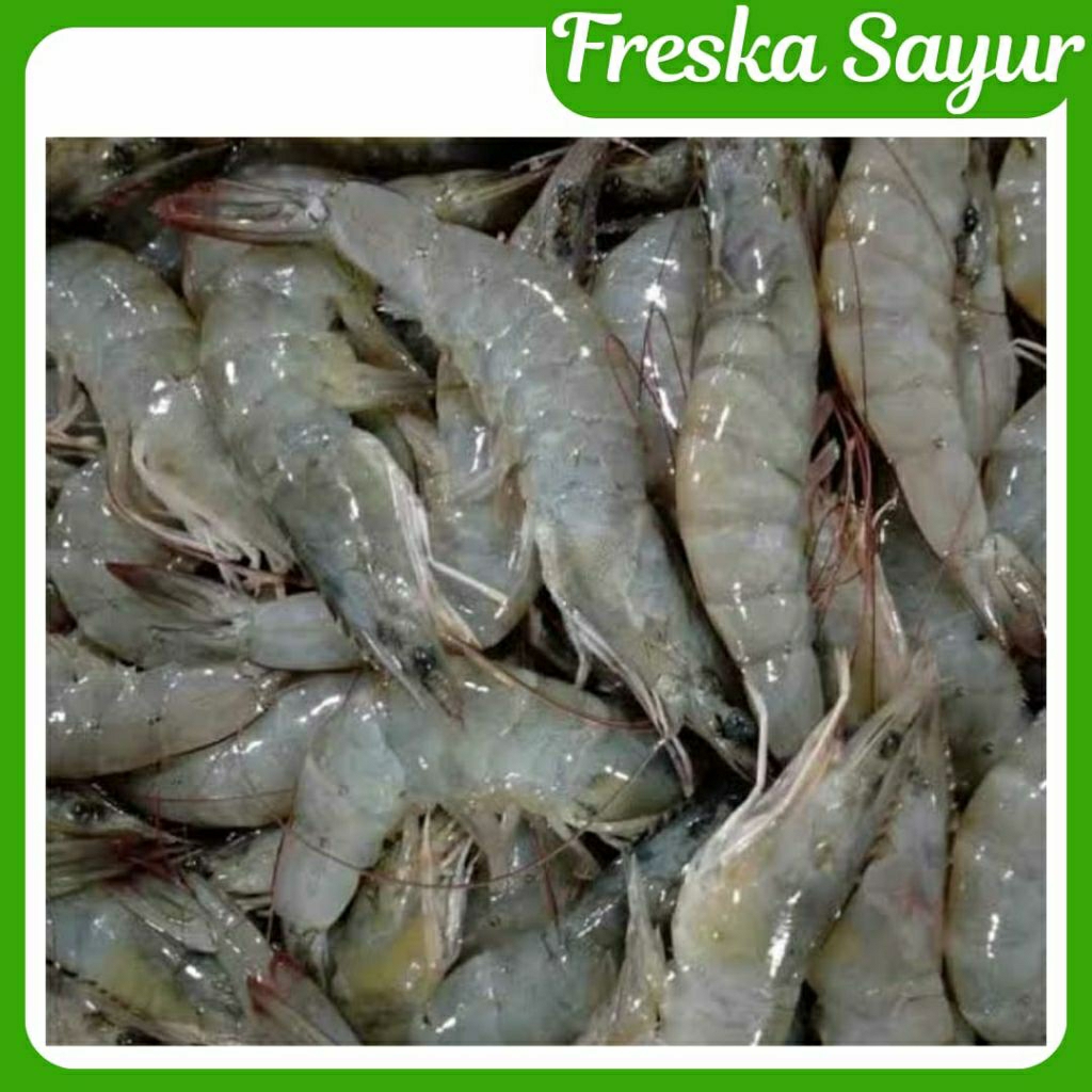 

Udang Segar Fresh 1/2 Kg