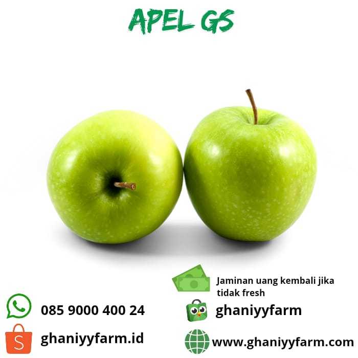 

Buah Apel Grany Smith 1kg