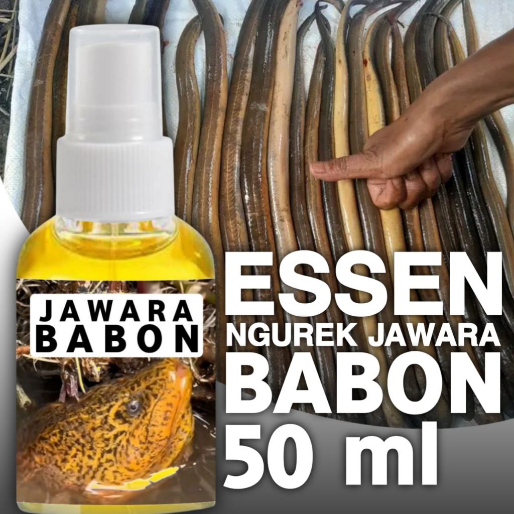 Essen ngurek jawara babon