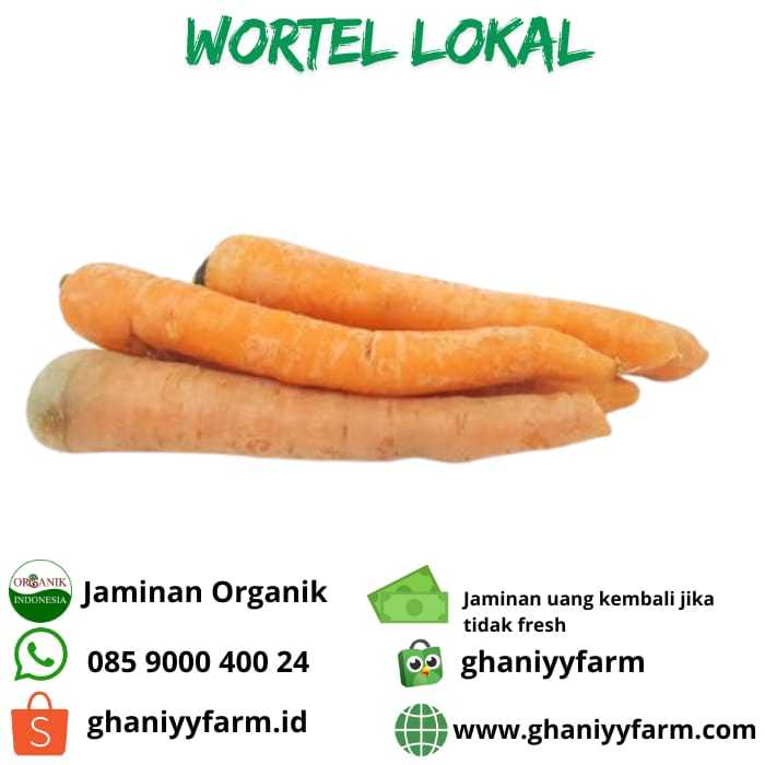 

Sayur Wortel Lokal Organik 500Gram