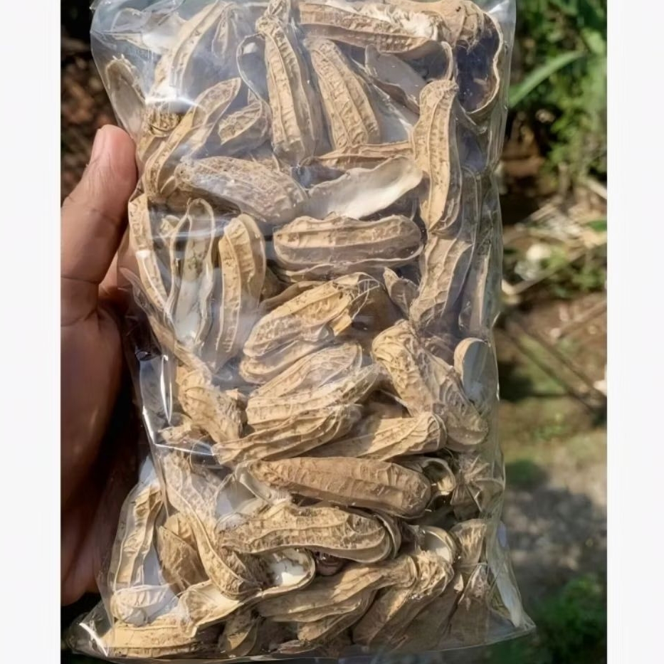 

KULIT/CANGKANG KACANG TANAH BANYAK KHASIATNY