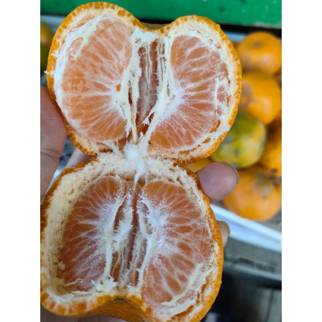 

Jeruk keprok madu