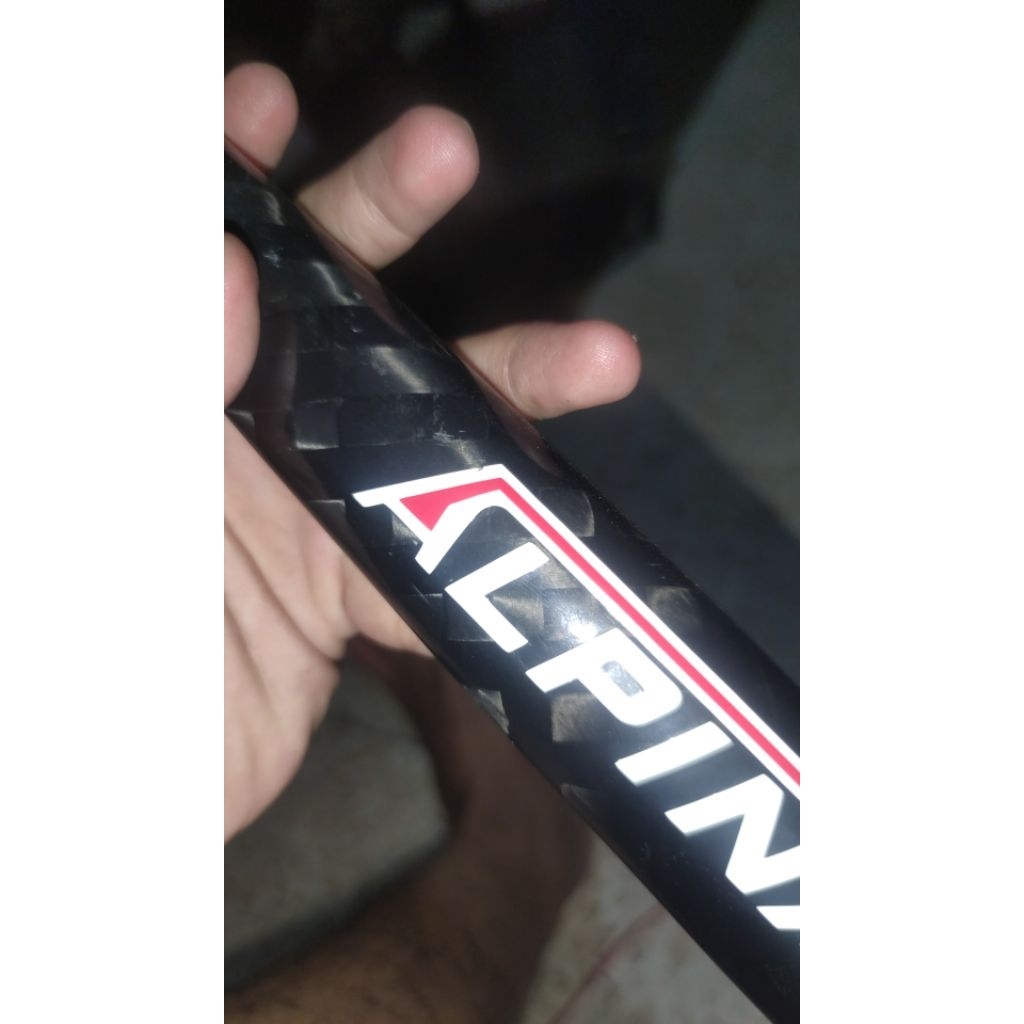 fork Tsunami alucarbon decal alpina