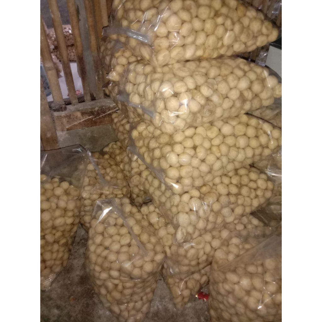 

Ygshop17 Cuanki Sohu Sedang Isi 1Kg