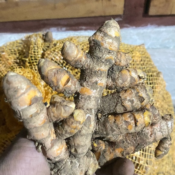 

kunyit kuning fress hasil panen super murah meriah 1kg