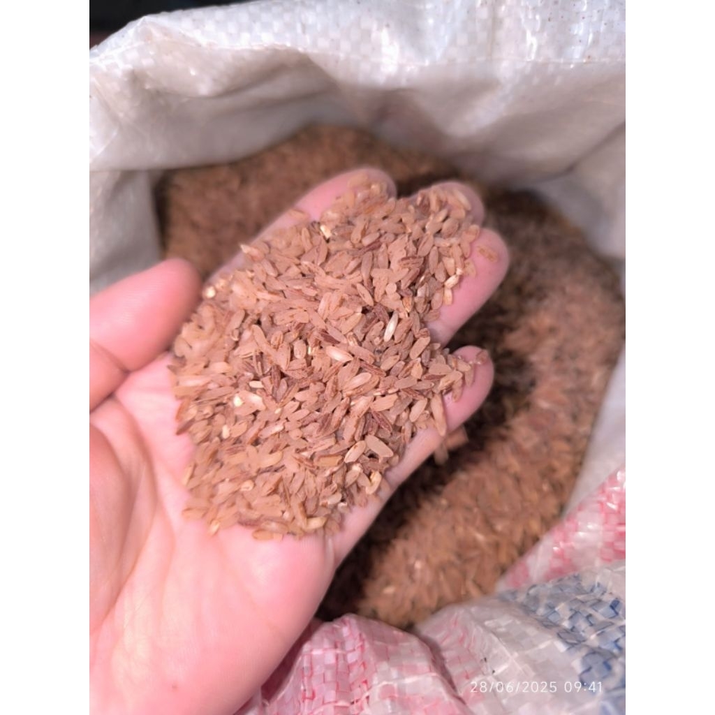

Beras Merah Harum Kemasan 500GR