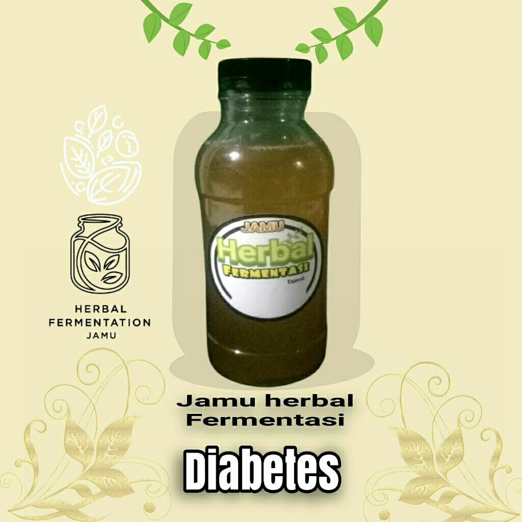 

jamu herbal fermentasi diabetes