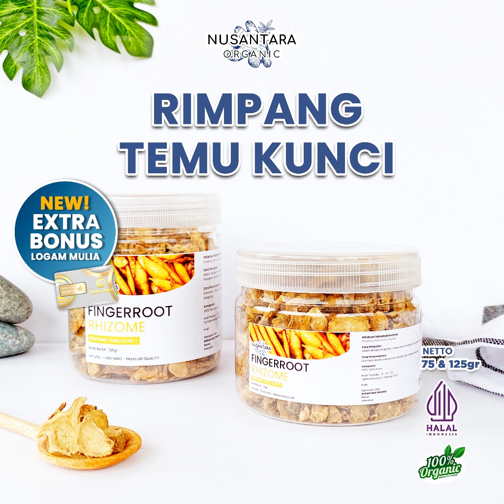 

Nusantara Organic Temu Kunci Fingerroot Alami Organik Iris Kering Rempah Dapur Tradisional