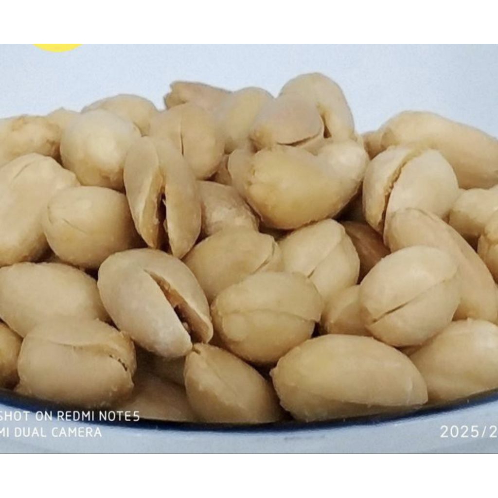 

Kacang Bawang Jumbo Renyah