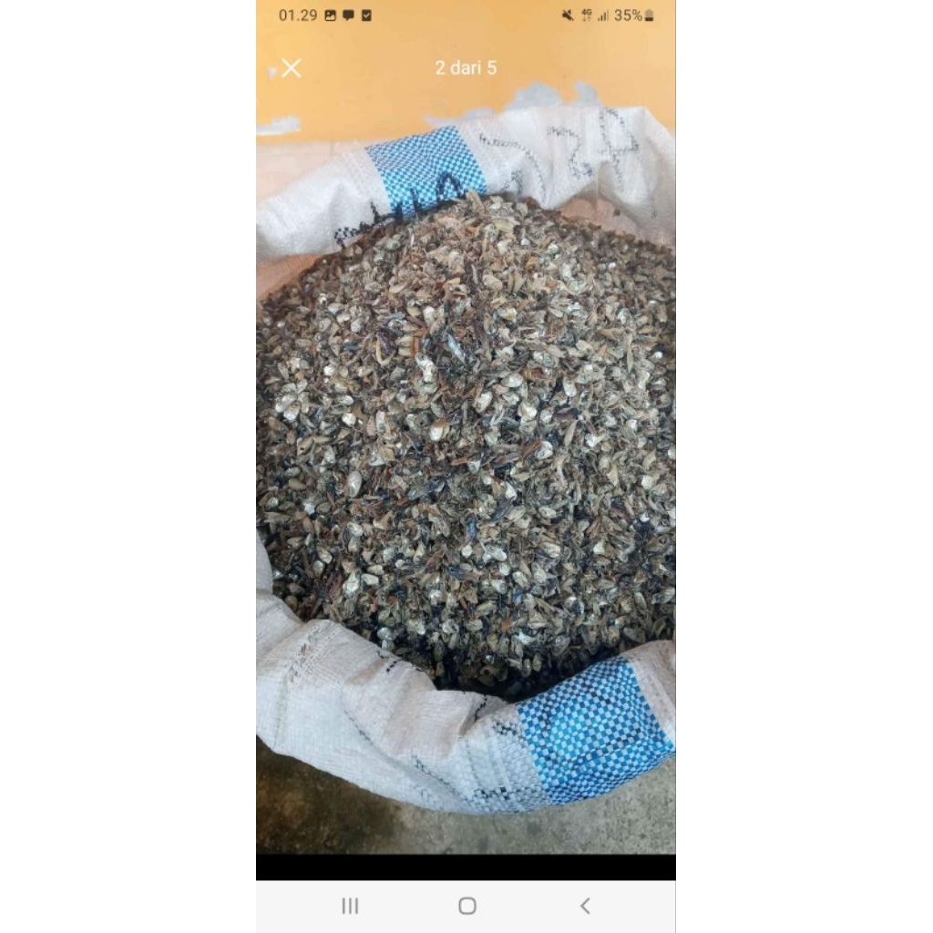 

KEPALA TERI SUPER 5 kg