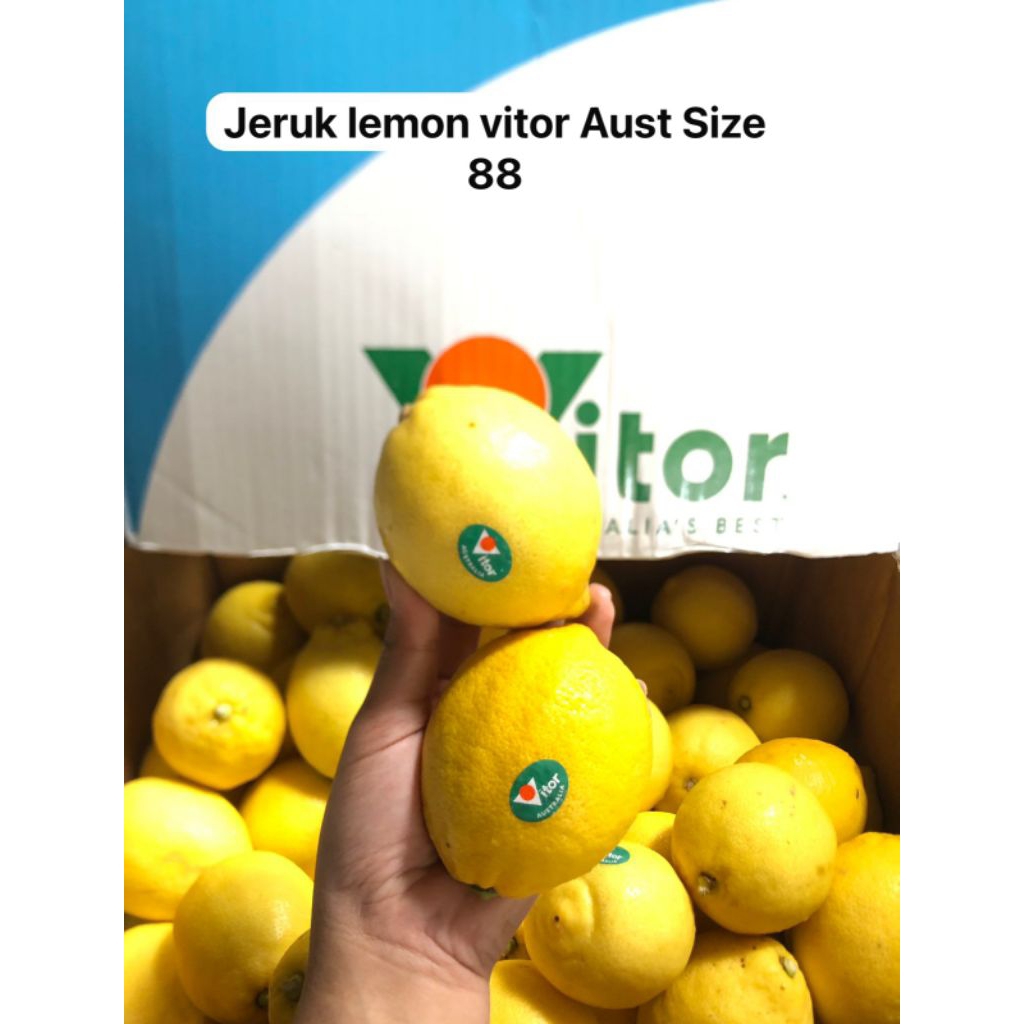 

Jeruk Lemon Aust Vitor Size 88 /kg