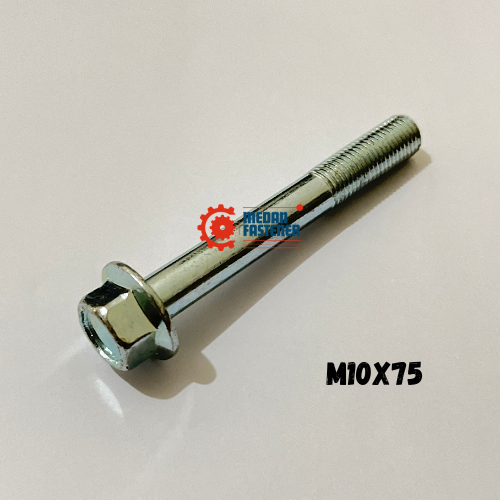 Baut Flange Bolt M10x75 Putih Panjang 7.5cm Baut 14