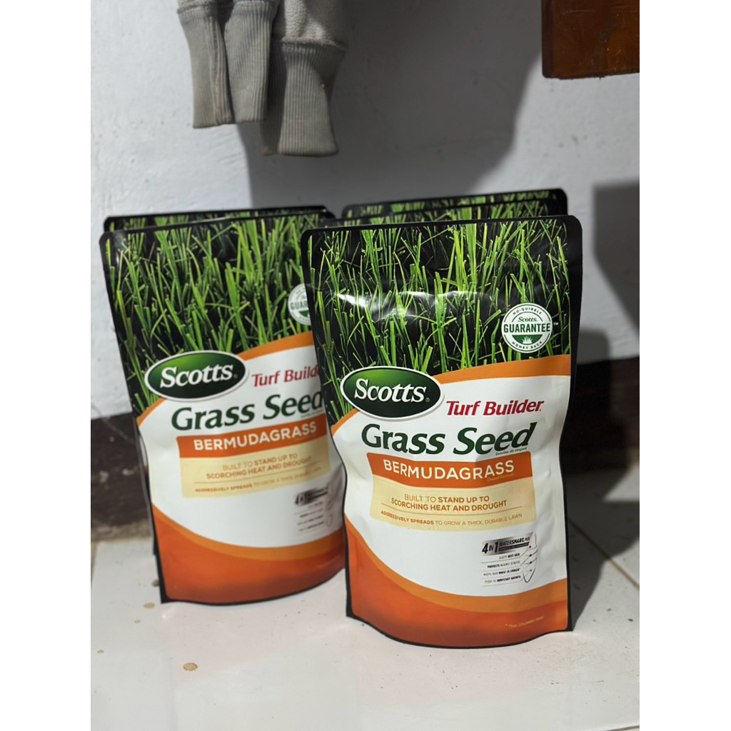 Biji Rumput Bermuda Grass 250gr - Benih Rumput Bermuda Grass Scotts