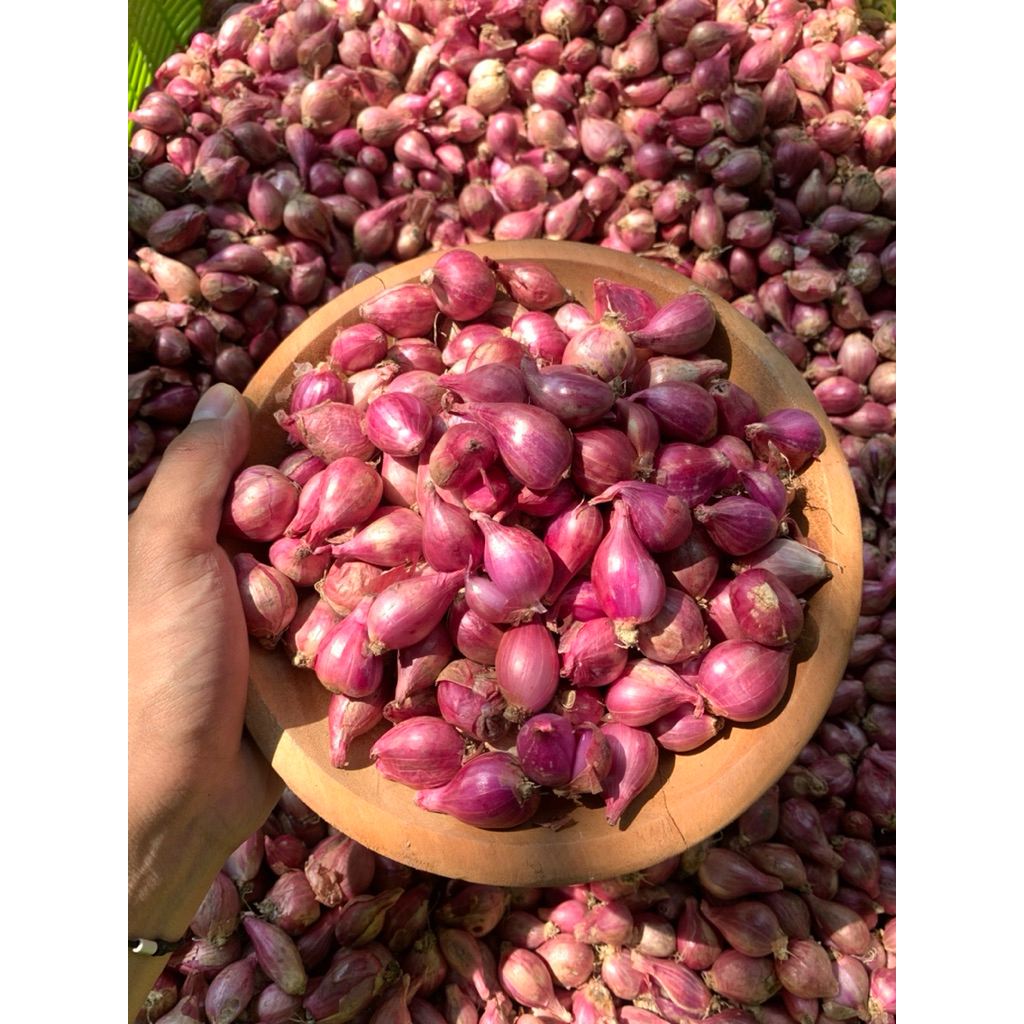 

PROMO!!! (Super 1 Kg) Bawang Merah Nganjuk Kering Termurah Bamer Berkualitas