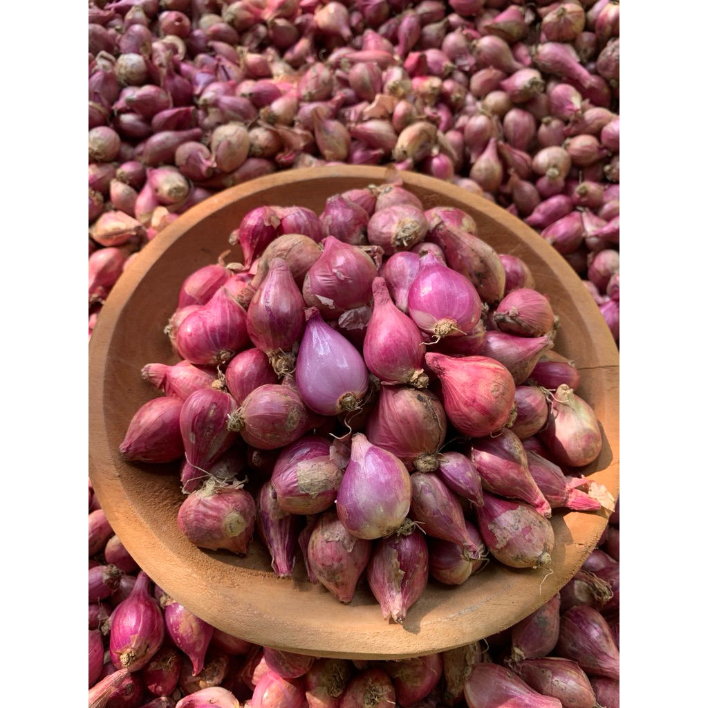 

PROMO!!! (Besar 1 Kg) Bawang Merah Super Nganjuk Kering Besar Termurah Bamer Berkualitas