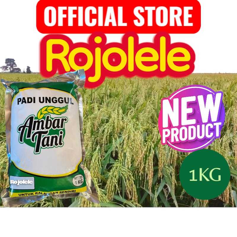 BENIH PADI RAJALELE ROJOLELE