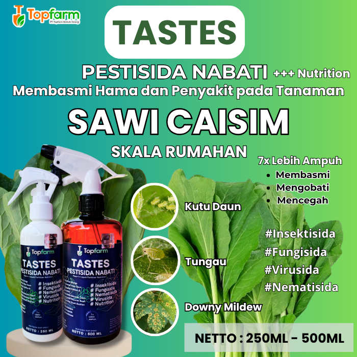Obat Semprot Hama Daun Sawi Caisim/ Pestisida Nabati/ Pestisida Nabati Untuk Sawi Caisim/ Obat Daun 