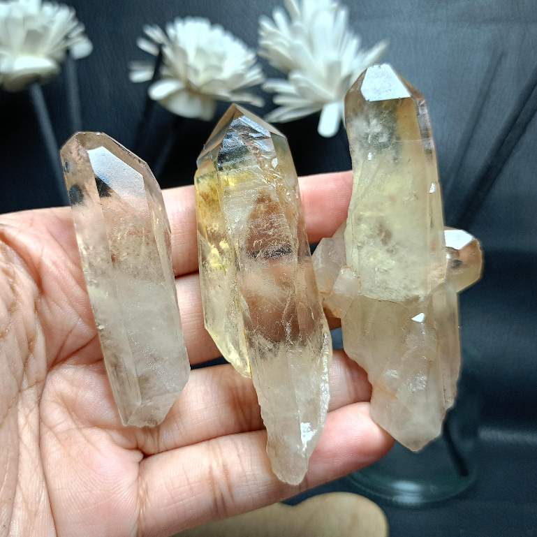 Natural Citrine Pointer Rough (3)