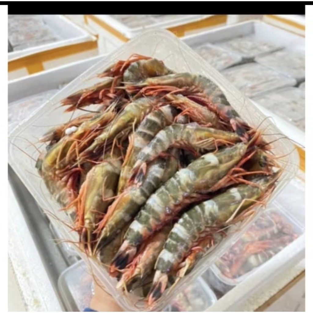 

udang windu ± 1 kg frozen