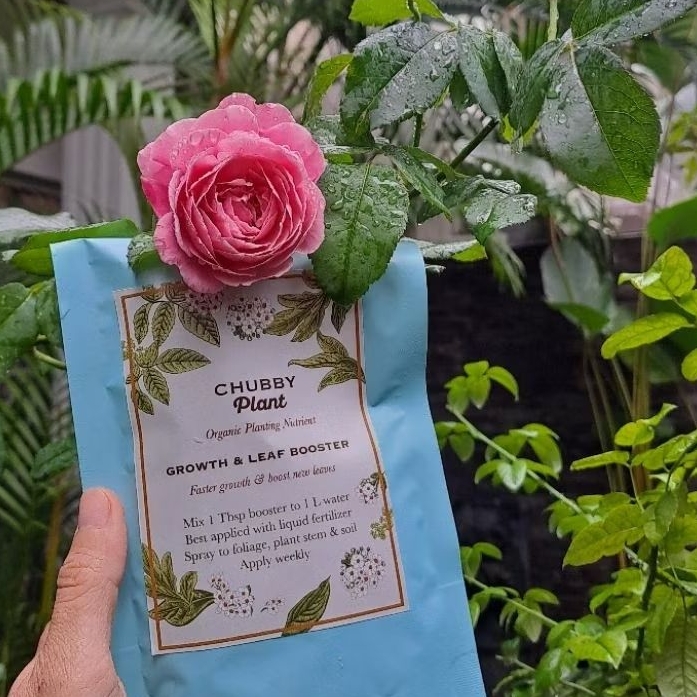 BOOSTER BUBUK DAUN LEBAT GROW chubby Plant pupuk bubuk nutrisi makro mikro flower organik perawatan 